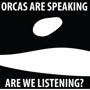 orcas are speaking are we listening